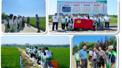 我校获2024年天津市大中专学生志愿者暑期“三下乡”社会实践活动表彰