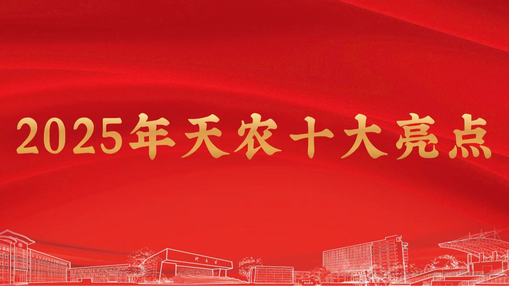 2025年天农十大亮点
